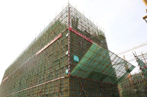 发展为要 项目为王 实干为先 我区召开重点基础设施建设项目观摩总结会