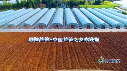 夯实发展根基 绘就城乡融合新画卷——全市“三区同建”暨一季度重点项目建设现场推进会走进恩阳区侧记